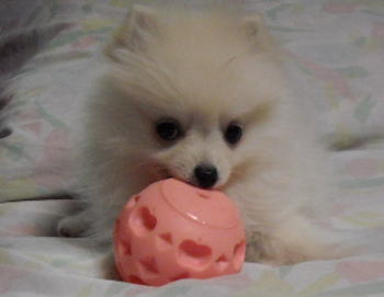 blog-pose-281-1