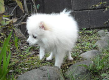 blog-pose-318-2