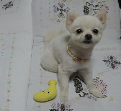 blog-pho-060
