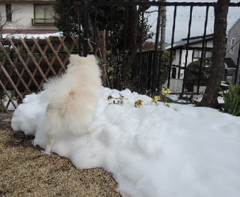 blog-pose-396-1