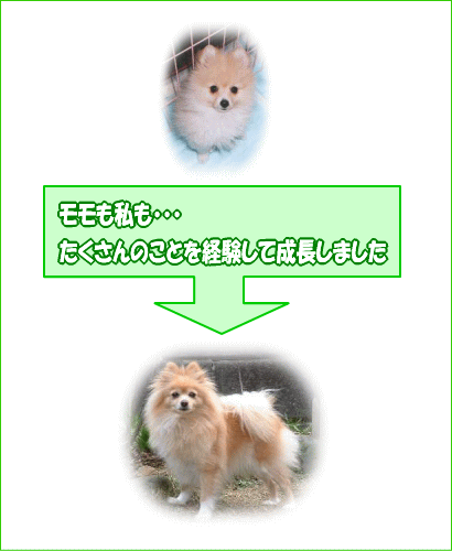 成長