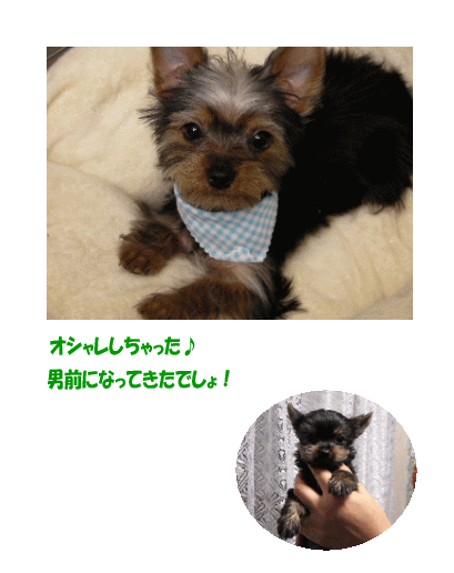 モコ君の成長