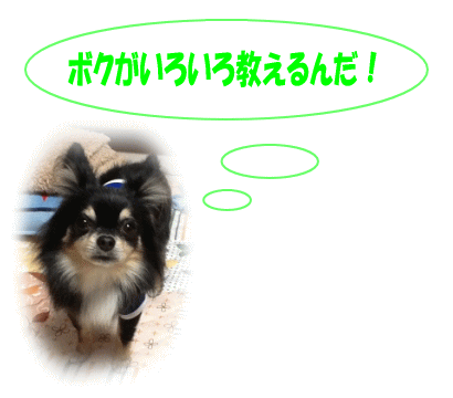 お兄ちゃん