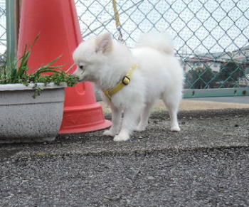 blog-pho-050-2