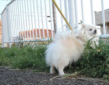blog-pose-412
