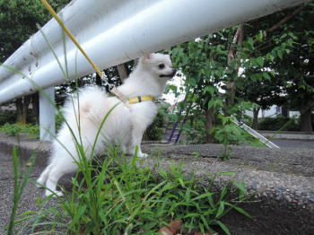 blog-pho-069-2