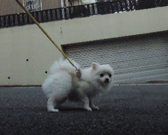 blog-pho-043-1