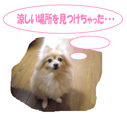 モモ♪