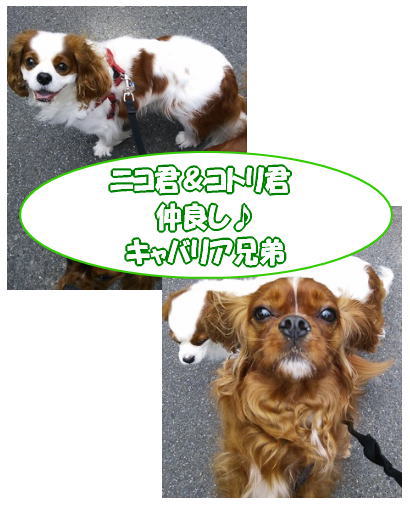 blog-pose-227