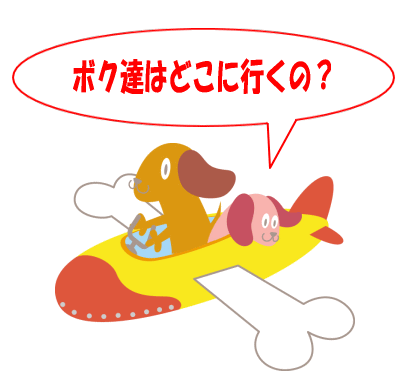 どこに行くの?