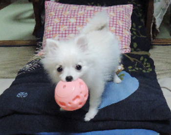 blog-pose-341-1