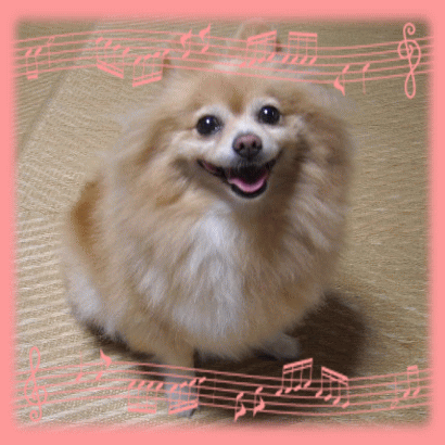 遊ぼうよ!
