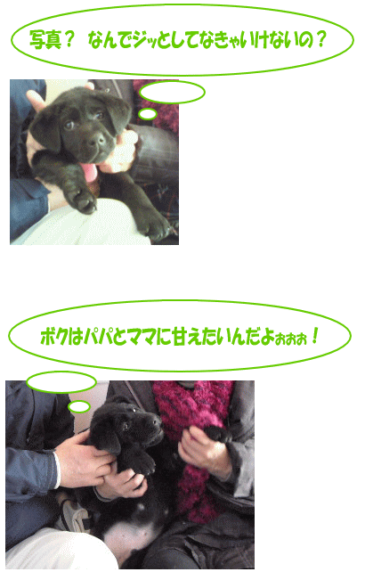 ラブ君