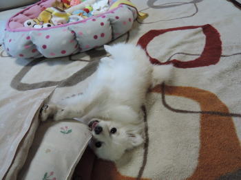 blog-pose-400