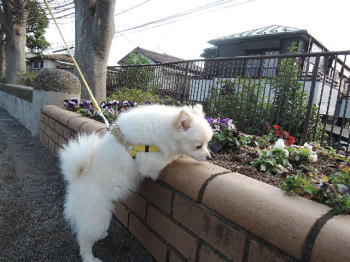 blog-pho-052-2