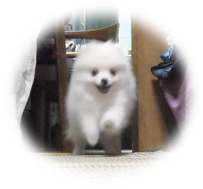 blog-pose-282-1