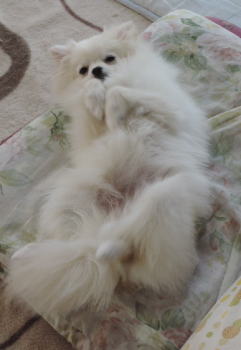 blog-pose-399-3