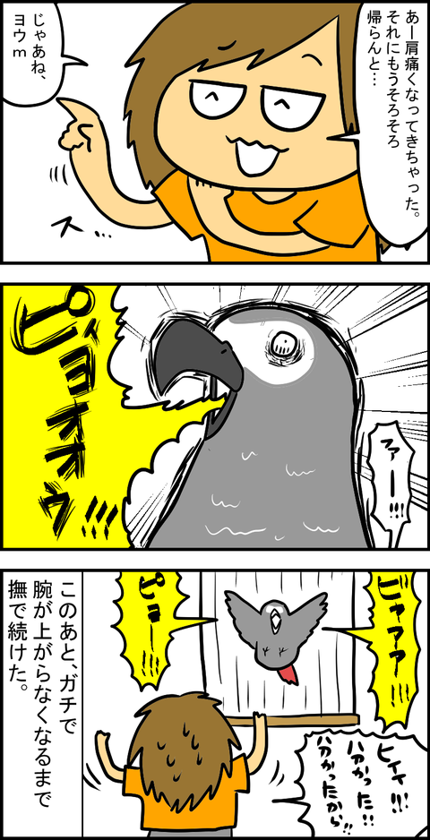 ヨウム4