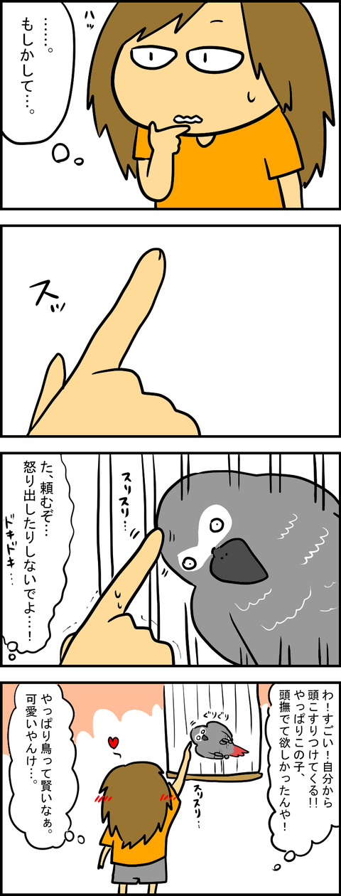ヨウム3