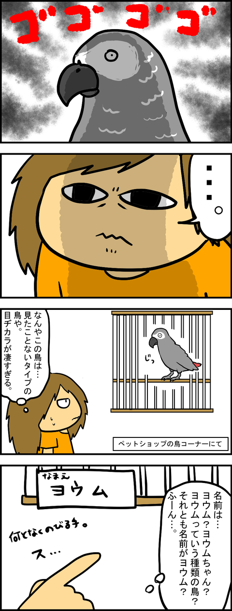 ヨウム
