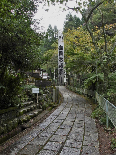 _9190006
