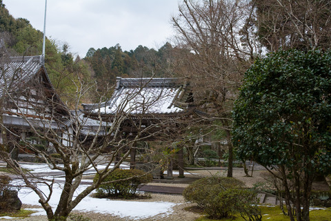 DSC_1016