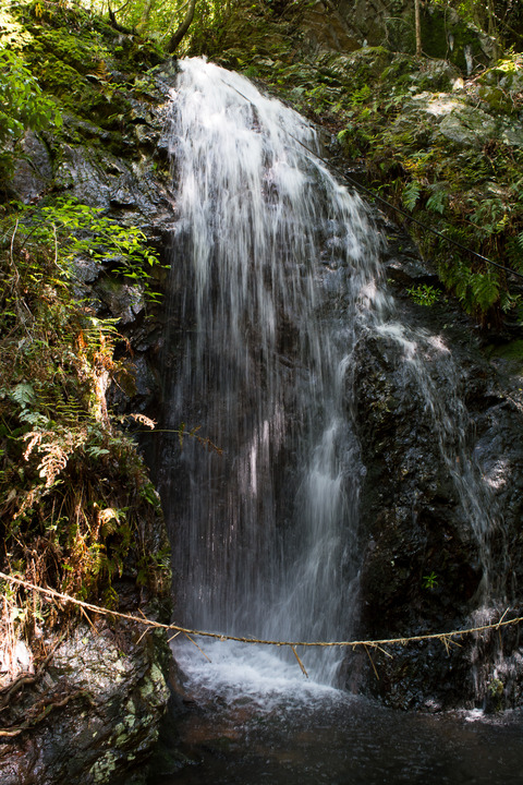 DSC_4198