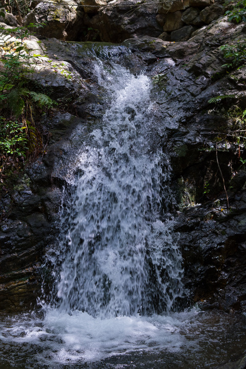 DSC_4193