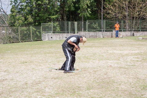 DSC_6136