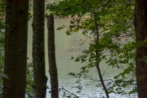 DSC_0094