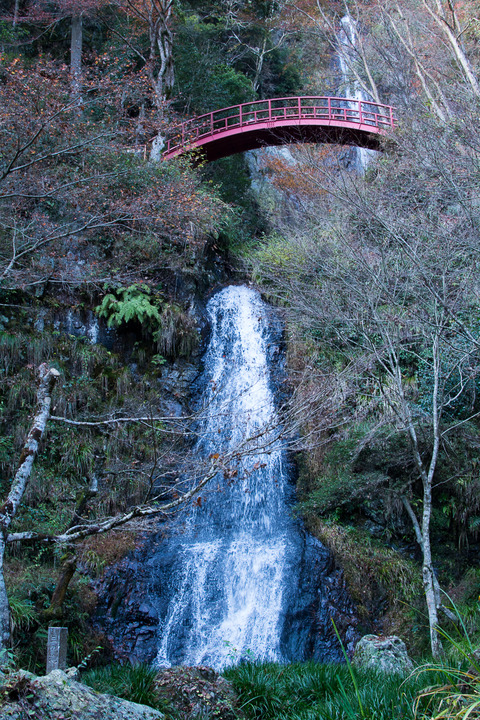 DSC_0476