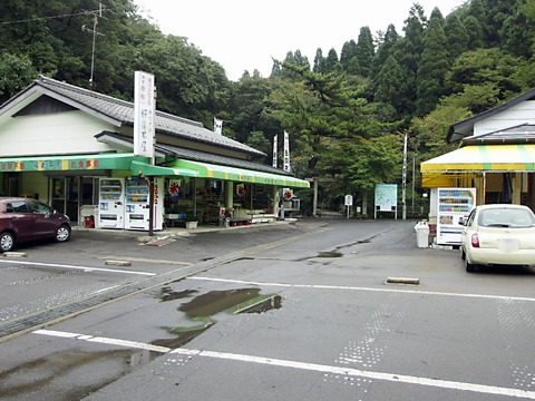 _9190045
