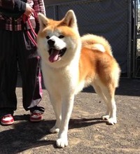 photo (13)
