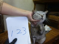 123¤³¤¦