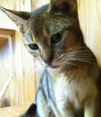 photo (6)