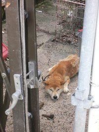 元気が無い子