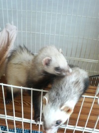 201109251048000