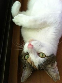 photo (1)