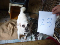 23¤¢¤ó