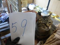59¤ß¤É¤ê