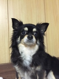 ネム