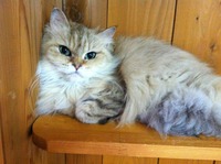 photo (9)