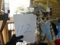 112ÉÔÌÀ