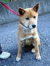 くり