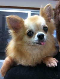 photo (6)