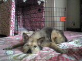 momo new2