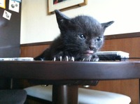 photo (1)