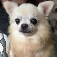 IMG_9530