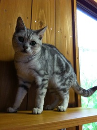 photo (4)