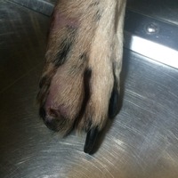 image2 (2)